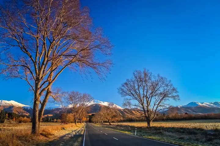 Stony road through a field at sunset