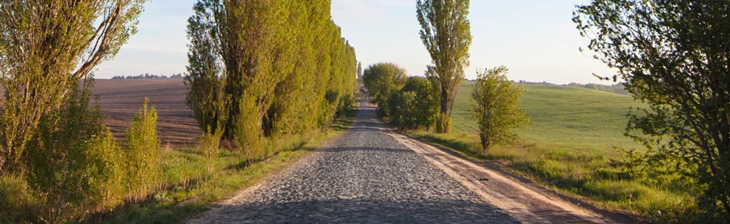 Stony road running through a green field